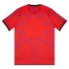Camisola do Venezia Equipamento 4ª 2025-26